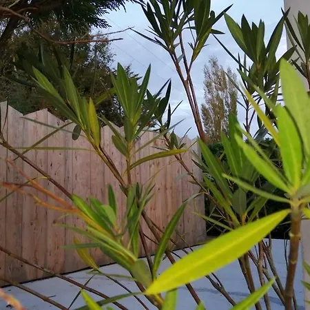 Petite Maison Au Calme Confort Hébergement de vacances Challans