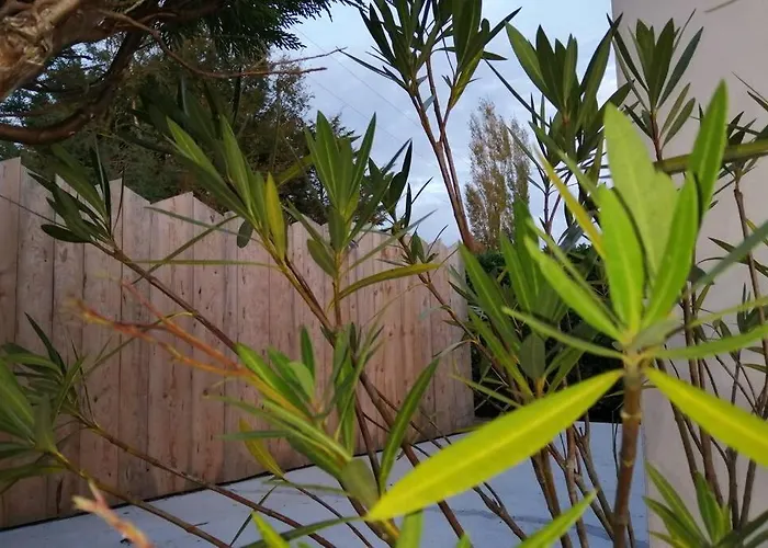 Petite Maison Au Calme Confort Hébergement de vacances Challans